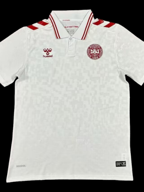 Danemark Maillot Extérieur 24/25