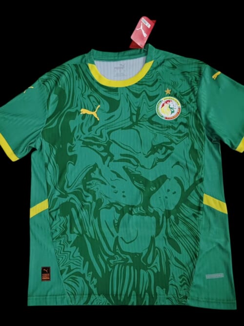 Sénégal Maillot Extérieur 25/26
