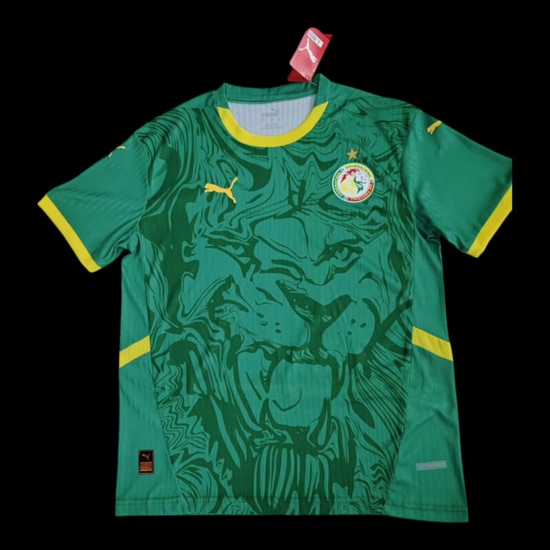 Sénégal Maillot Extérieur 25/26