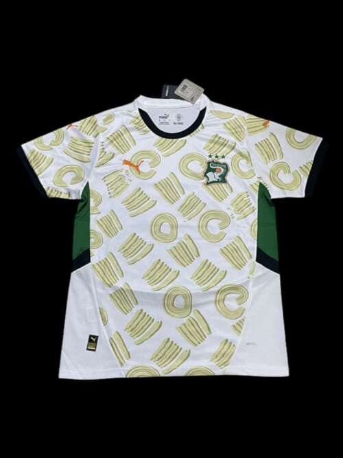 Cote d'Ivoire Maillot Extérieur 24/25