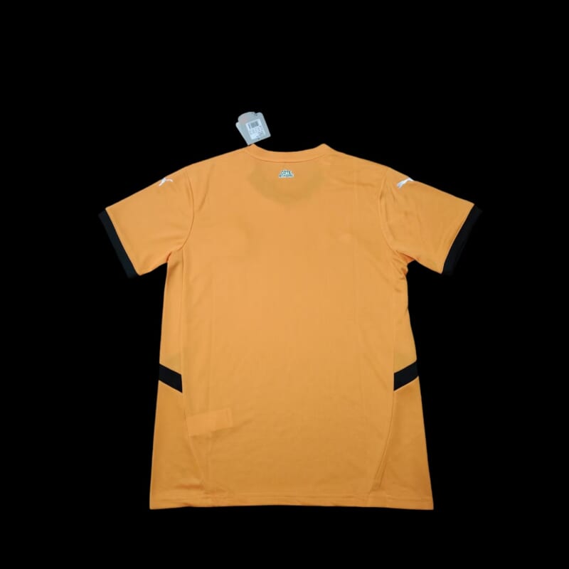 Cote d'Ivoire Maillot Domicile 24/25 – Image 2