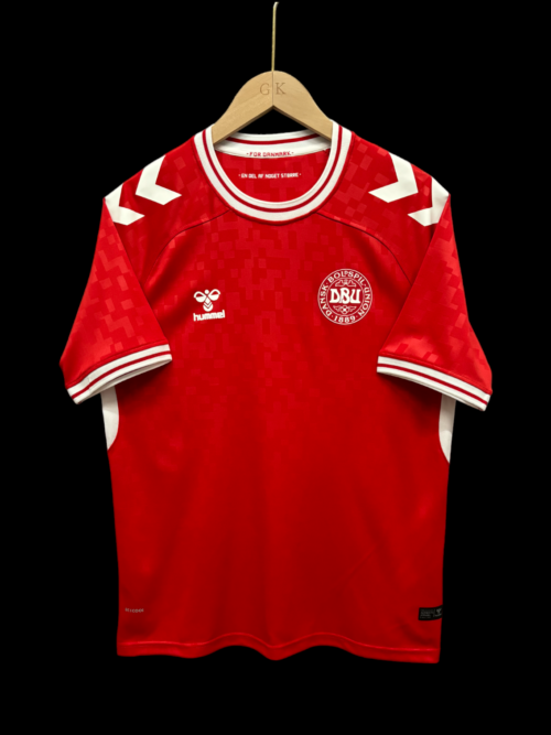 Danemark Maillot Domicile 24/25