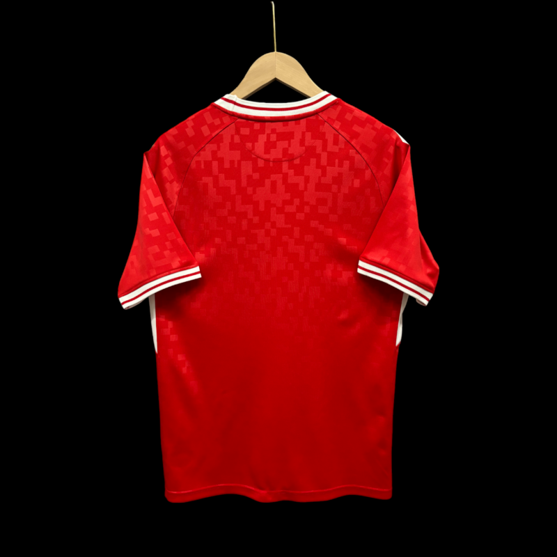 Danemark Maillot Domicile 24/25 – Image 2