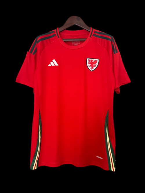 Pays Galles Maillot Domicile 24/25