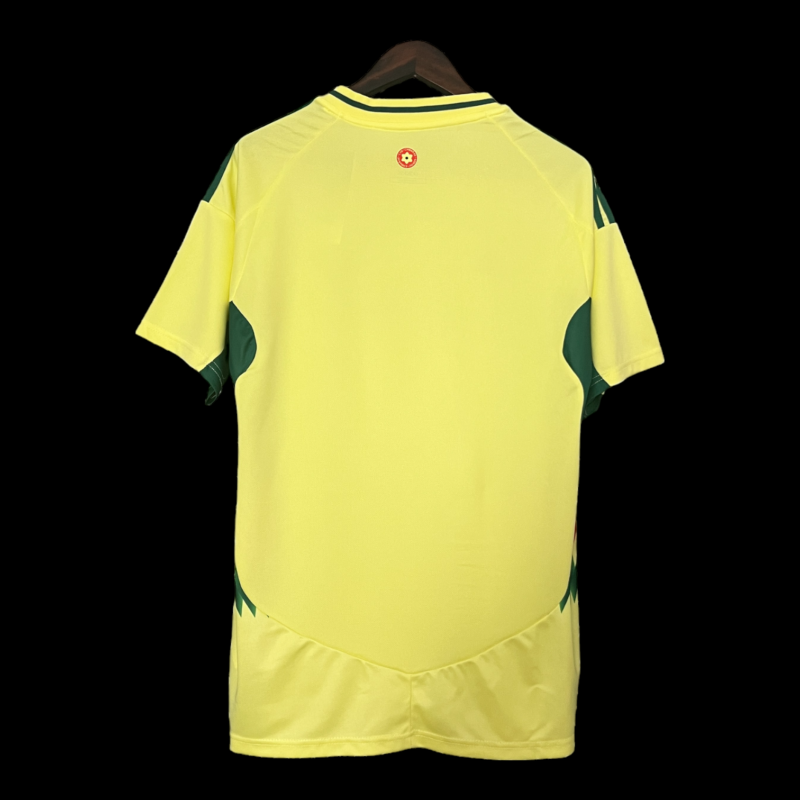 Pays Galles Maillot Extérieur 24/25 – Image 2