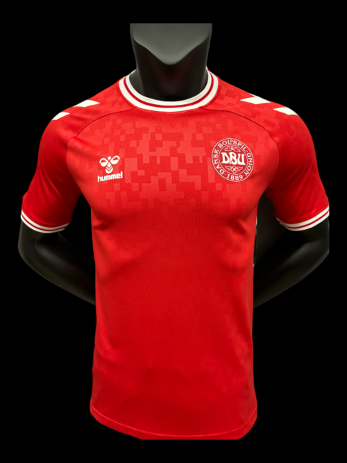 Danemark Maillot Domicile 24/25 - Version Player