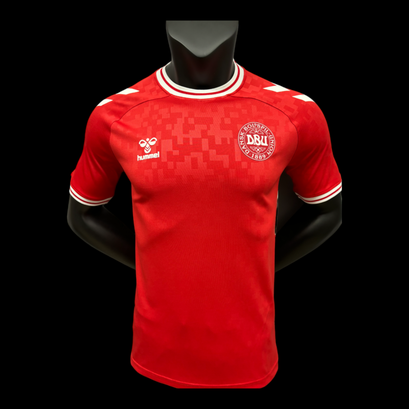 Danemark Maillot Domicile 24/25 - Version Player