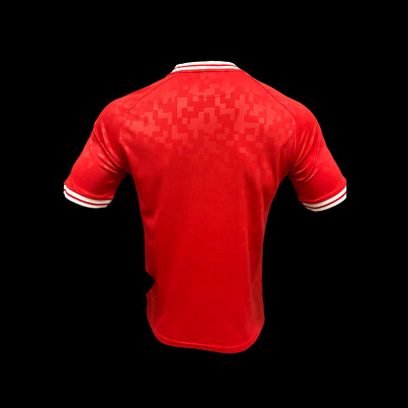 Danemark Maillot Domicile 24/25 - Version Player – Image 2
