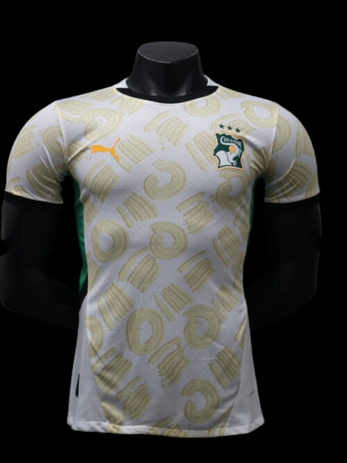 Cote d'Ivoire Maillot Extérieur 24/25 - Version Player