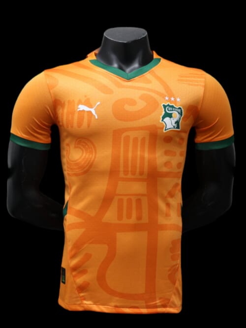 Cote d'Ivoire Maillot Domicile 24/25 - Version Player