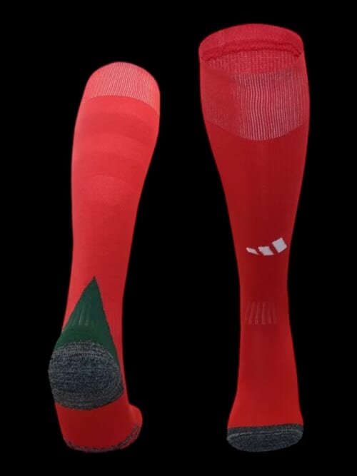 Pays de Galles Chaussettes Domicile 24/25