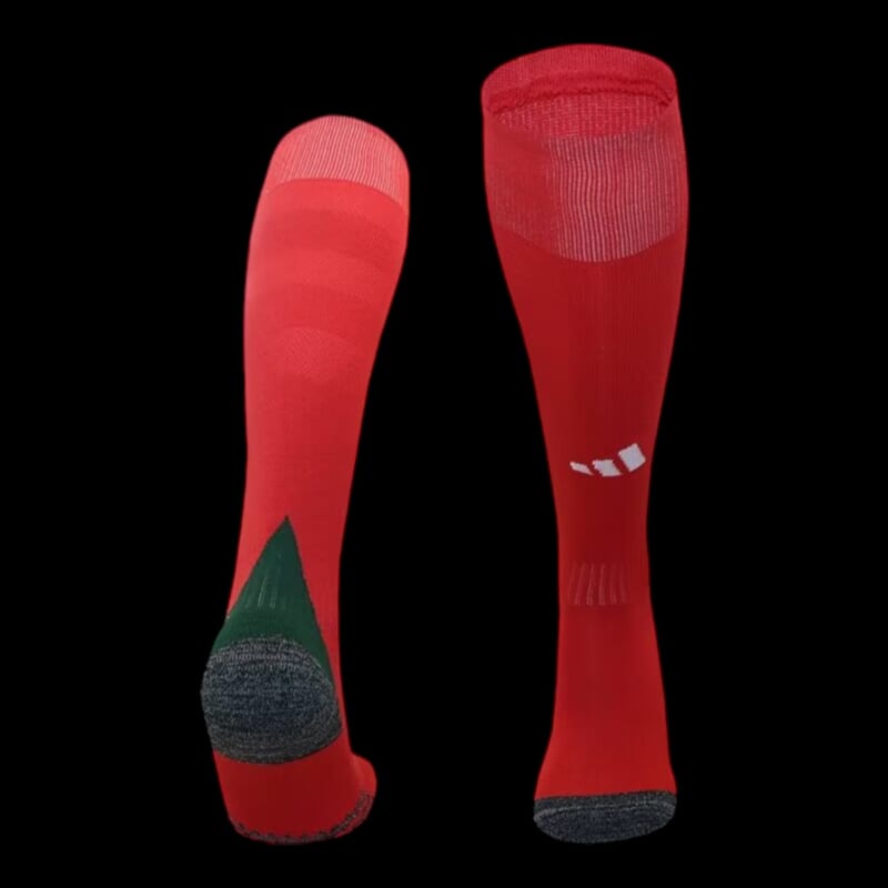 Pays de Galles Chaussettes Domicile 24/25