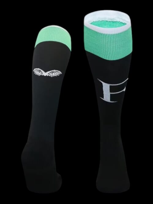 Feyenoord Chaussettes Extérieur 24/25