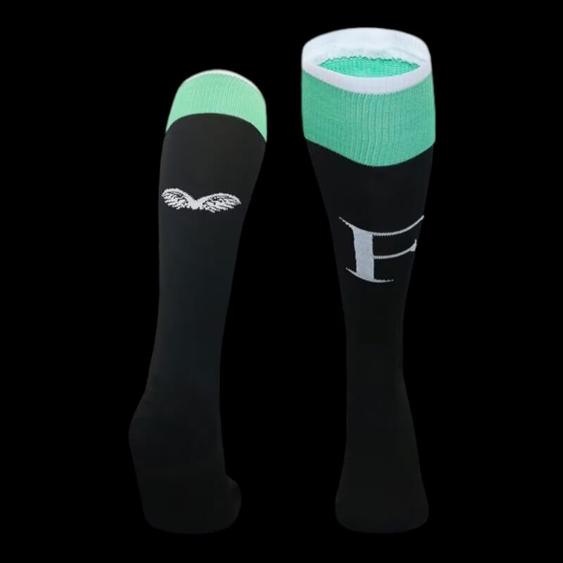 Feyenoord Chaussettes Extérieur 24/25