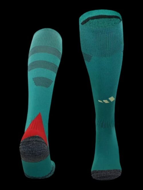 Pays de Galles Chaussettes Domicile 24/25