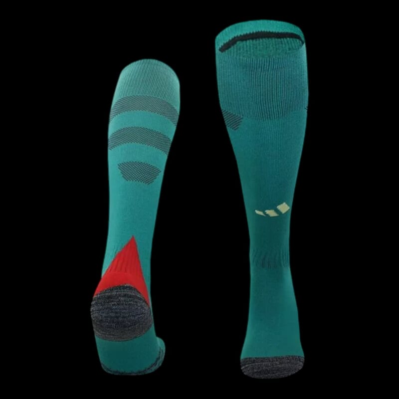 Pays de Galles Chaussettes Domicile 24/25