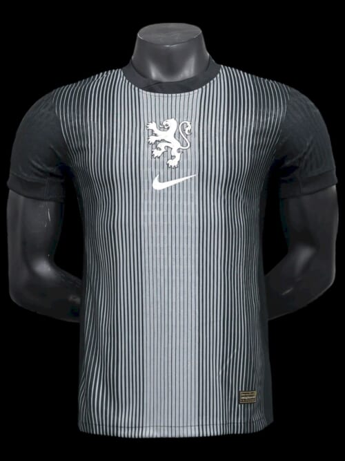 Pays Bas Maillot Gardien 25/26 (Euro 2025 Femme) - Version Player