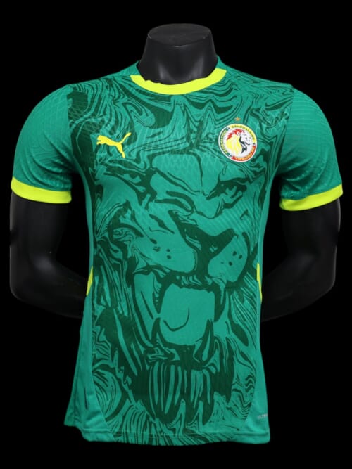 Sénégal Maillot Extérieur 25/26 - Version Player